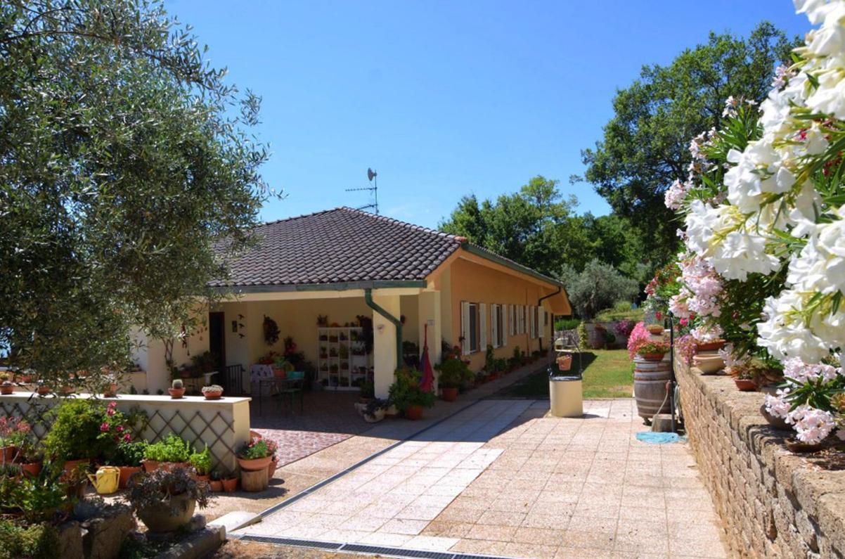 B&B Torre Del Lago Trasimeno Пасиняно сул Тразимено Екстериор снимка